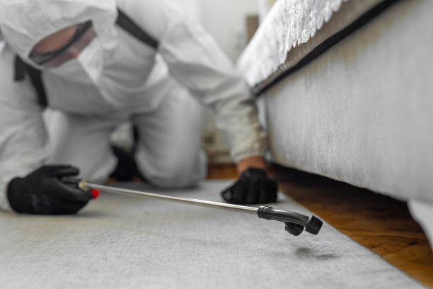 Professional Bed Bug Control technician working in Cass County County, IN